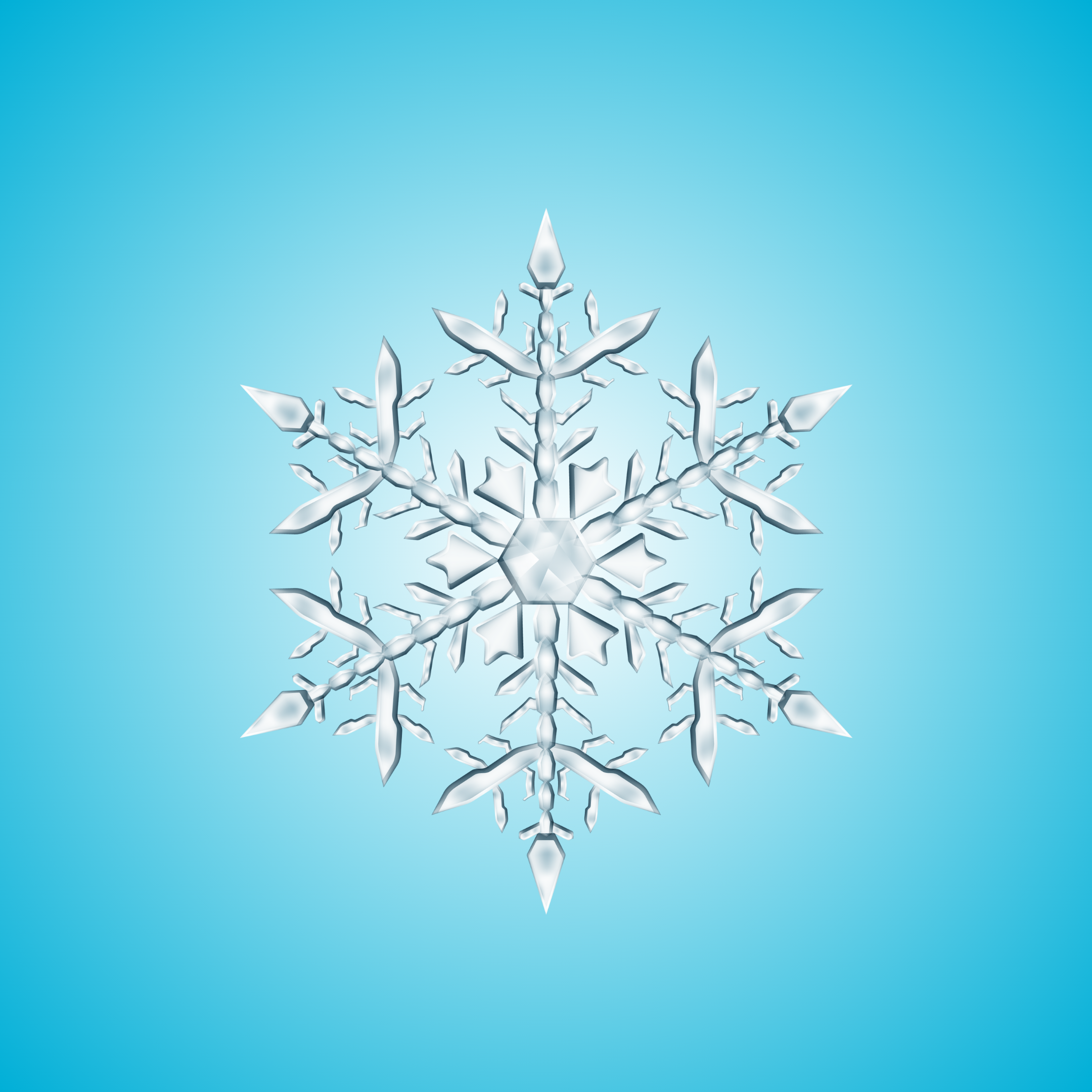 POLAR MINT PERFORMANCE ENERGY